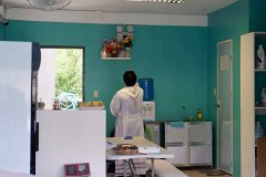 laundry-lounge-moalboal